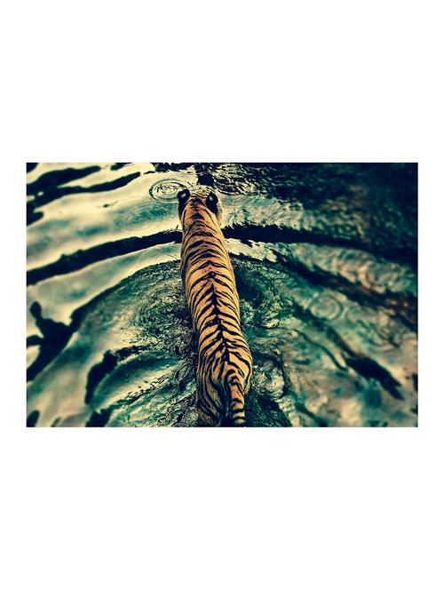 Rawpockets"Tiger on Water"Wall posters (PaperBoard,33cmX48cm) - 15732303 - Standard Image - 1