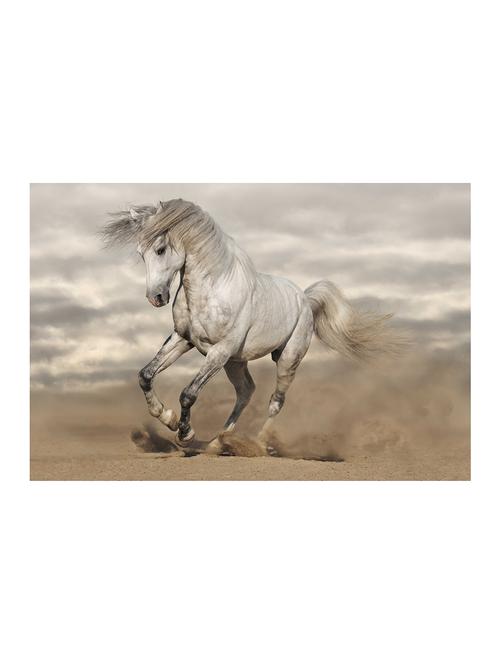 Rawpockets"White Horse"Wall posters (PaperBoard,33cmX48cm) - 15732309 - Standard Image - 1