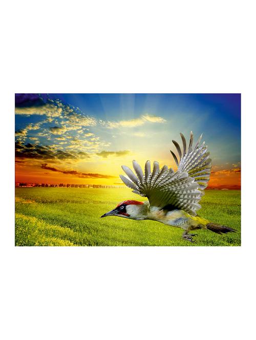 Rawpockets"Colorful Flying Bird"Wall posters (PaperBoard,33cmX48cm) - 15732386 - Standard Image - 1