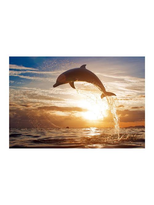 Rawpockets"Dolphin Wallpaper"Wall posters (PaperBoard,33cmX48cm) - 15732395 - Standard Image - 1