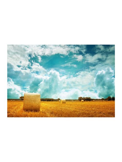 Rawpockets"Farm n Field"Wall posters (PaperBoard,33cmX48cm) - 15732408 - Standard Image - 1