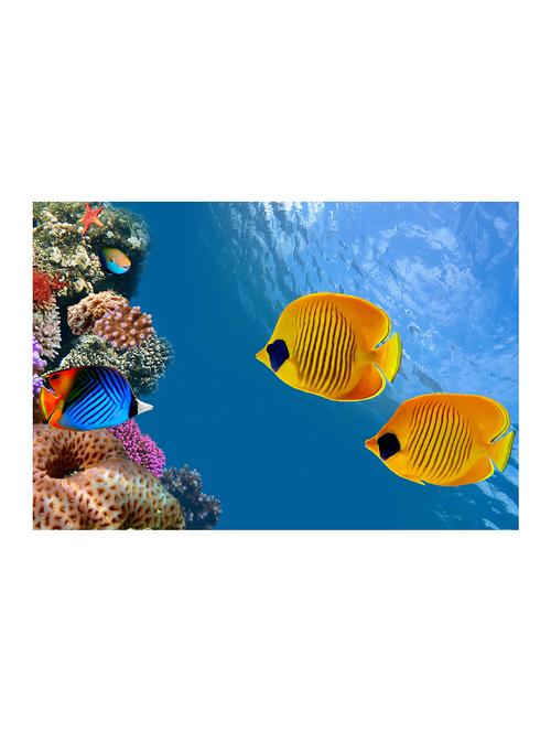 Rawpockets"Fish Wallpaper"Wall posters (PaperBoard,33cmX48cm) - 15732412 - Standard Image - 1