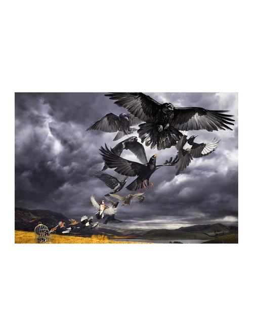 Rawpockets"Free It"Wall posters (PaperBoard,33cmX48cm) - 15732415 - Standard Image - 1