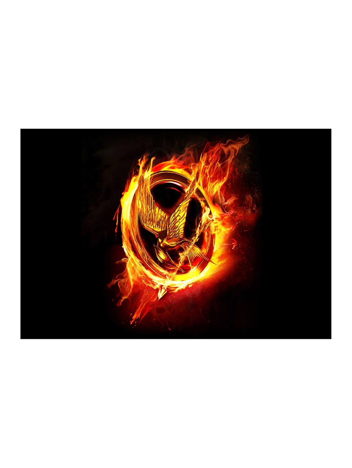 Rawpockets"Hunger Games Bird Fire H"Wall posters (PaperBoard,33cmX48cm) - 15732444 - Zoom Image - 1