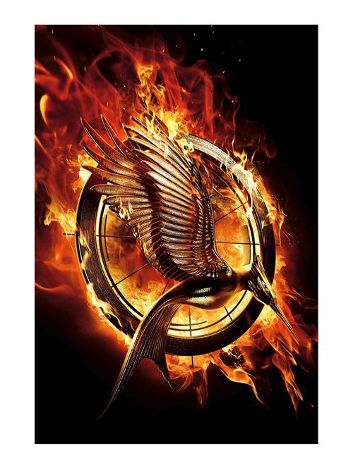 Rawpockets"Hunger Games Bird Fire"Wall posters (PaperBoard,33cmX48cm) - 15732445 - Standard Image - 1