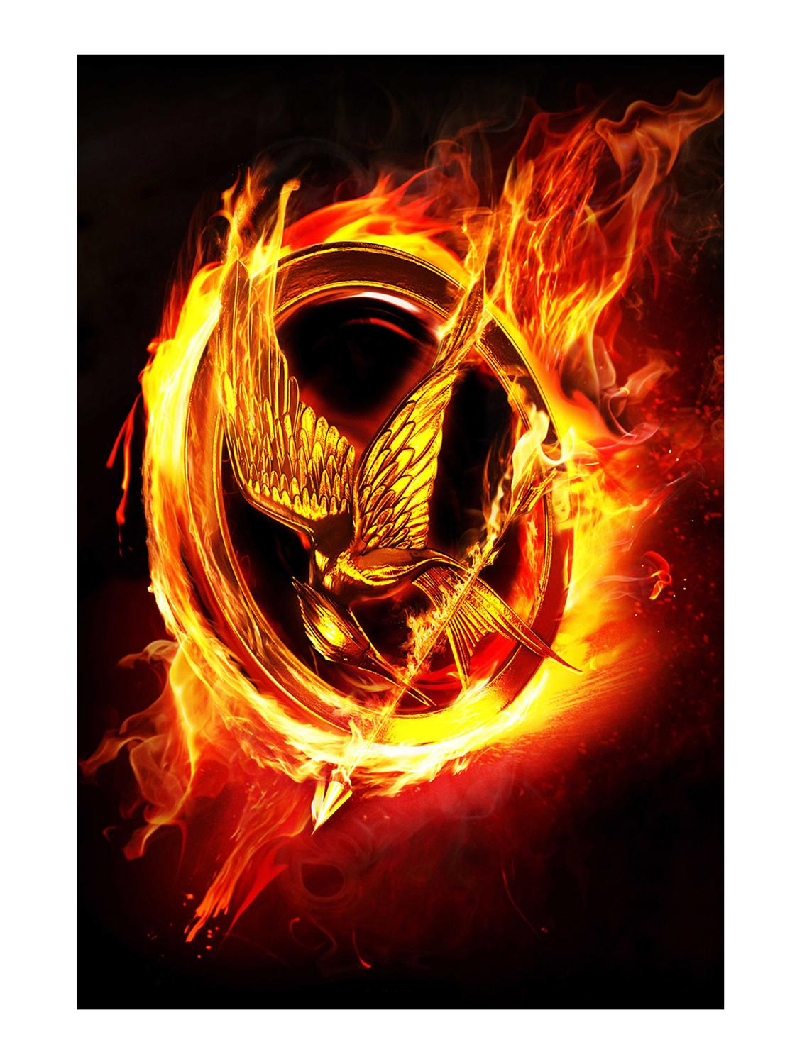 Rawpockets"Hunger Games Bird Ring"Wall posters (PaperBoard,33cmX48cm) - 15732446 - Zoom Image - 1