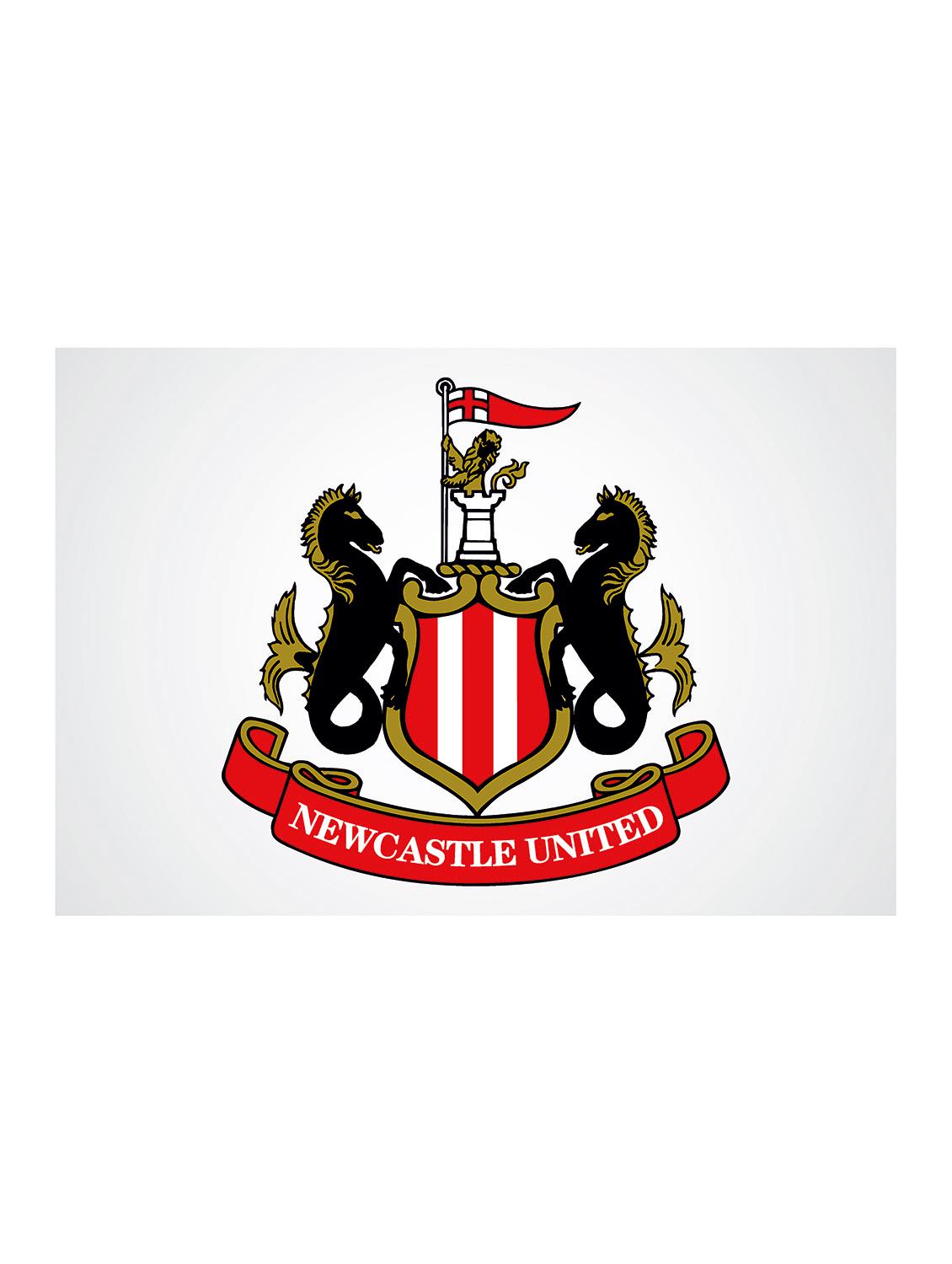 Rawpockets"Newcastle United"Wall posters (PaperBoard,33cmX48cm) - 15732458 - Zoom Image - 1