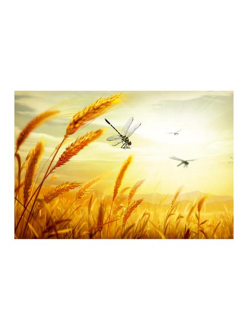 rawpockets"wheat grass wallpaper"wall posters (paperboard,33cmx48cm) - 15732902 - Very Small Image - 1