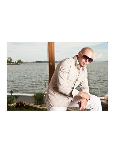 Rawpockets"Pitbull"Wall posters (PaperBoard,33cmX48cm) - 15732972 - Very Small Image - 1