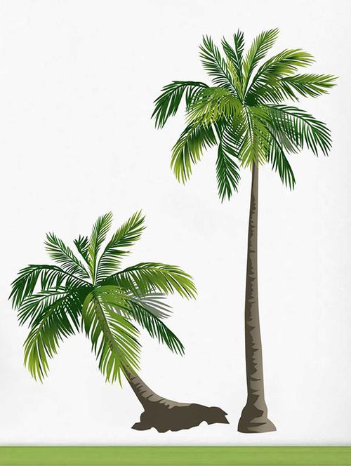 Rawpockets Wall Decals ' Pair Coconut Trees' Wall Decal Sticker ' Wall stickers (PVC Vinyl) Multicolour - 15733525 - Standard Image - 1