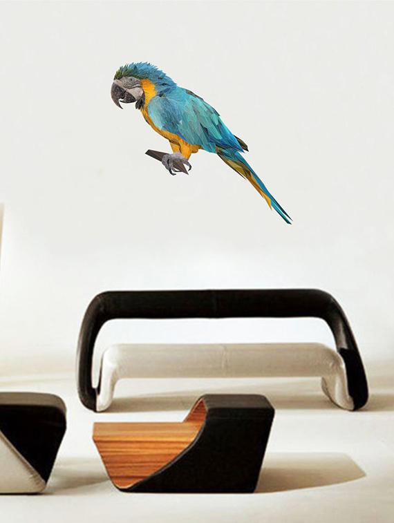 Rawpockets Wall Decals ' Multi Color Parrot Wall Sticker ' Wall stickers (PVC Vinyl) Multicolour - 15733654 - Zoom Image - 1