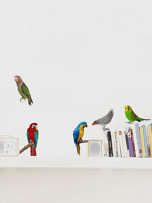 Rawpockets Wall Decals ' Living Room Parrot Love Bird ' Wall stickers (PVC Vinyl) Multicolour - 15733888 - Standard Image - 1
