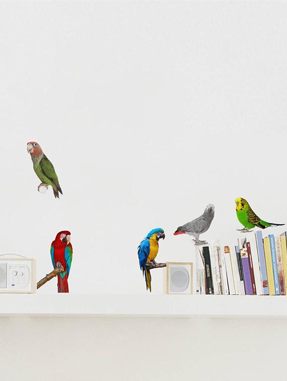 Rawpockets Wall Decals ' Living Room Parrot Love Bird ' Wall stickers (PVC Vinyl) Multicolour - 15733888 - Zoom Image - 1