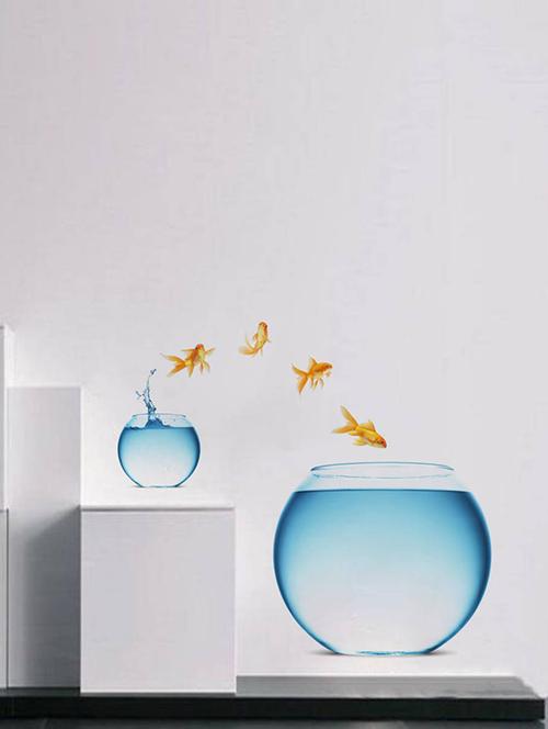 Rawpockets Wall Decals ' Bed Room Fish Pot ' Wall stickers (PVC Vinyl) Multicolour - 15733892 - Standard Image - 1