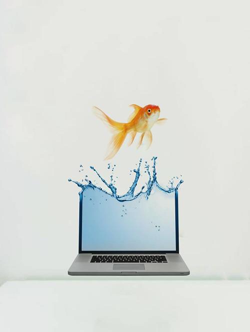 Rawpockets Wall Decals ' Fish and Laptop Abstract ' Wall stickers (PVC Vinyl) Multicolour - 15733900 - Standard Image - 1