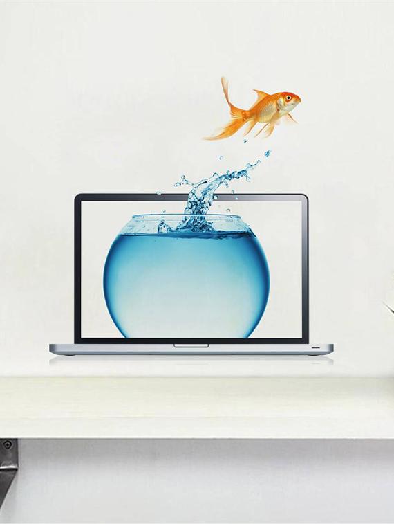 Rawpockets Wall Decals ' Laptop and Fish Bowl Abstract ' Wall stickers (PVC Vinyl) Multicolour - 15733901 - Zoom Image - 1
