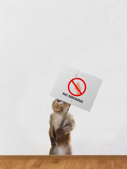 Rawpockets Wall Decals ' No Smoking ' Wall stickers (PVC Vinyl) Multicolour - 15733912 - Standard Image - 1
