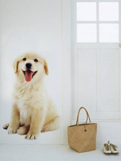 Rawpockets Wall Decals ' Cute Dog ' Wall stickers (PVC Vinyl) Multicolour - 15734102 - Standard Image - 1