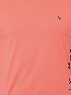 orange cotton t-shirt - 15738162 - Standard Image - 4