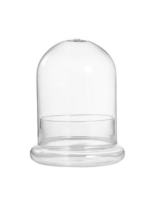 imported multipurpose glass container with dome - 15767129 - Standard Image - 2