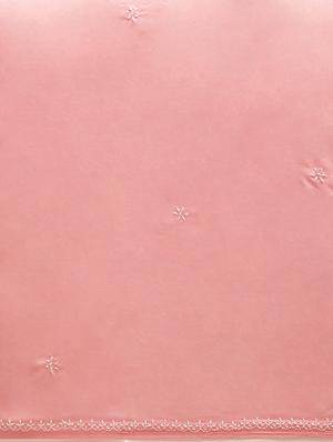 sea pink chikankari saree - 15775361 - Standard Image - 4