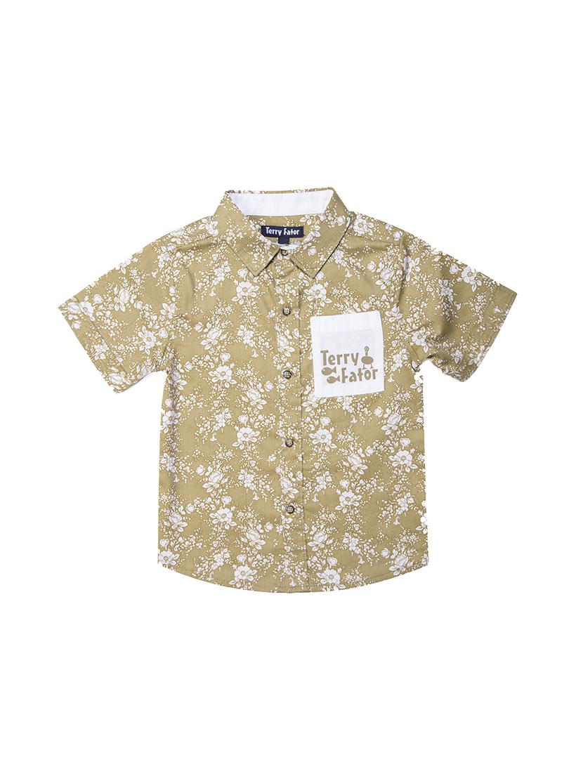 beige cotton shirt - 15780520 - Zoom Image - 1