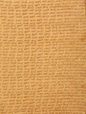 orange cotton stole - 15815175 - Standard Image - 3