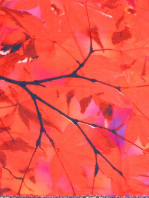 red crepe scarf - 15877553 - Standard Image - 3