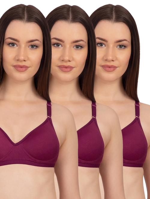 purple cotton tshirt bra - 15904520 - Very Small Image - 1