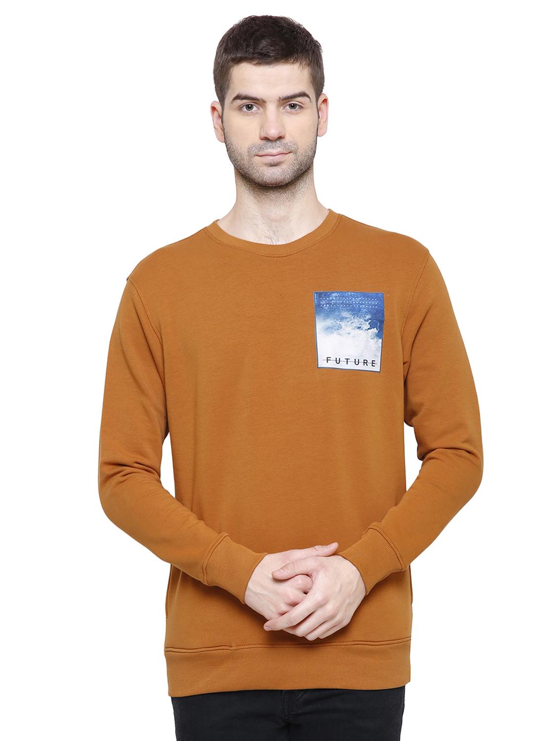 brown cotton sweatshirt - 15916471 - Zoom Image - 1