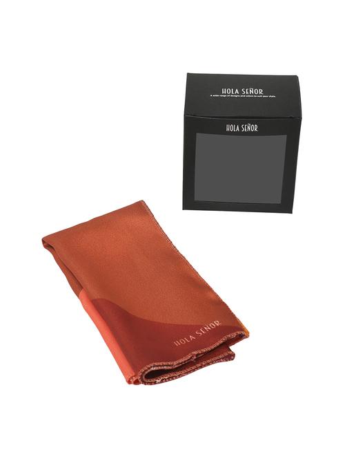 brown silk pocketsquare - 15924067 - Standard Image - 1