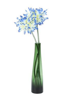 stylish transparent grey vase - 15938967 - Standard Image - 2