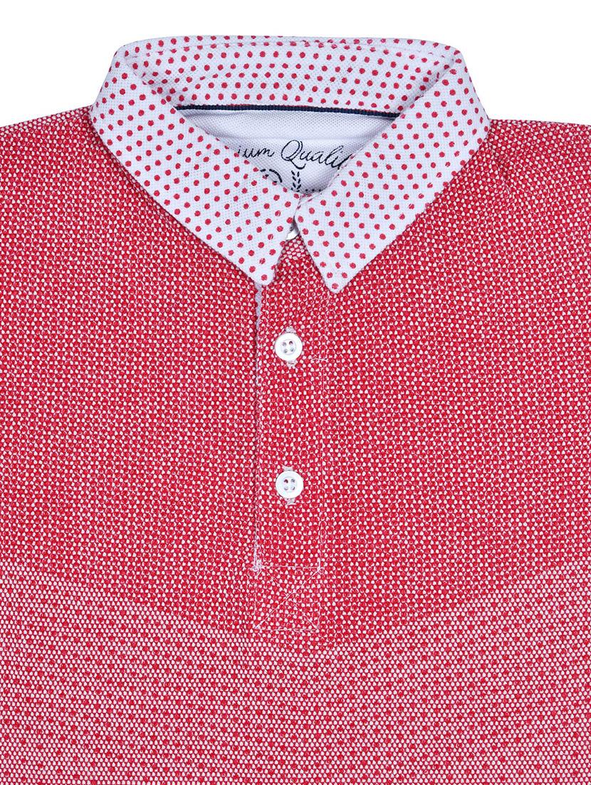 red cotton tshirt - 15964731 - Zoom Image - 3