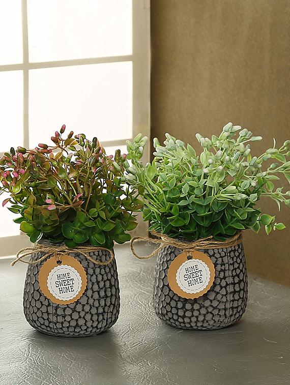 set of 2 green plastic artificial plant with ceremic pot by aapno rajasthan - 15970684 - Zoom Image - 1