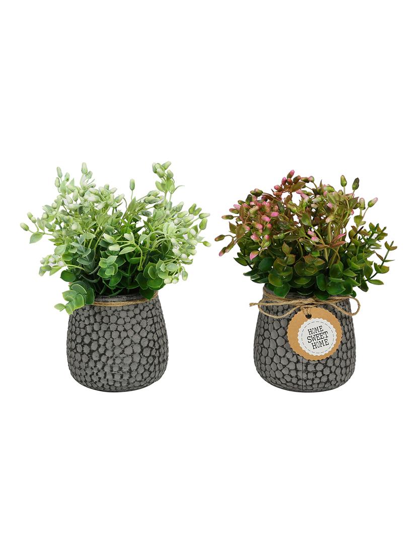 set of 2 green plastic artificial plant with ceremic pot by aapno rajasthan - 15970684 - Zoom Image - 3