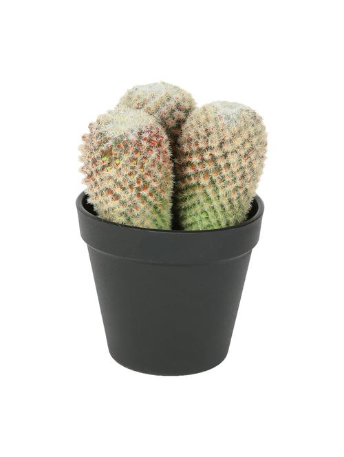 artificial plastic cactus with abs plastic pot by aapno rajasthan - 15970689 - Standard Image - 1