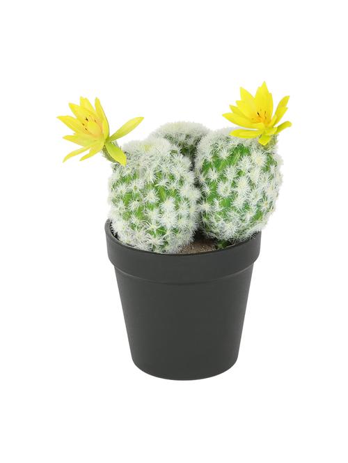 artificial plastic cactus and beautiful yellow flower with abs plastic pot by aapno rajasthan - 15970690 - Standard Image - 1