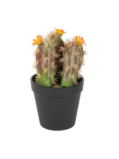 artificial plastic cactus and beautiful orange flower with abs plastic pot by aapno rajasthan - 15970691 - Standard Image - 1
