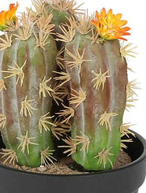 artificial plastic cactus and beautiful orange flower with abs plastic pot by aapno rajasthan - 15970691 - Standard Image - 2