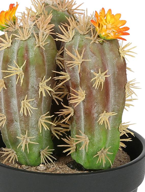 artificial plastic cactus and beautiful orange flower with abs plastic pot by aapno rajasthan - 15970691 - Zoom Image - 2