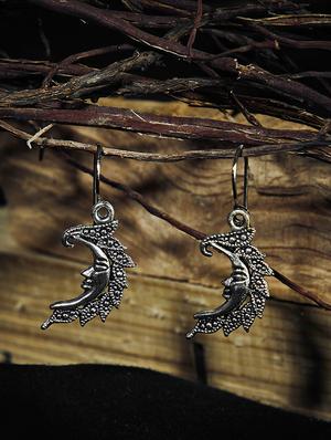 silver metal drop earring - 16009696 - Standard Image - 3