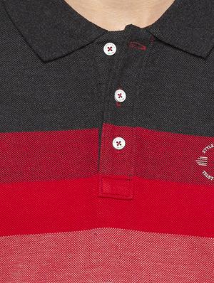 multi colored striped polo t-shirt - 16201623 - Standard Image - 5