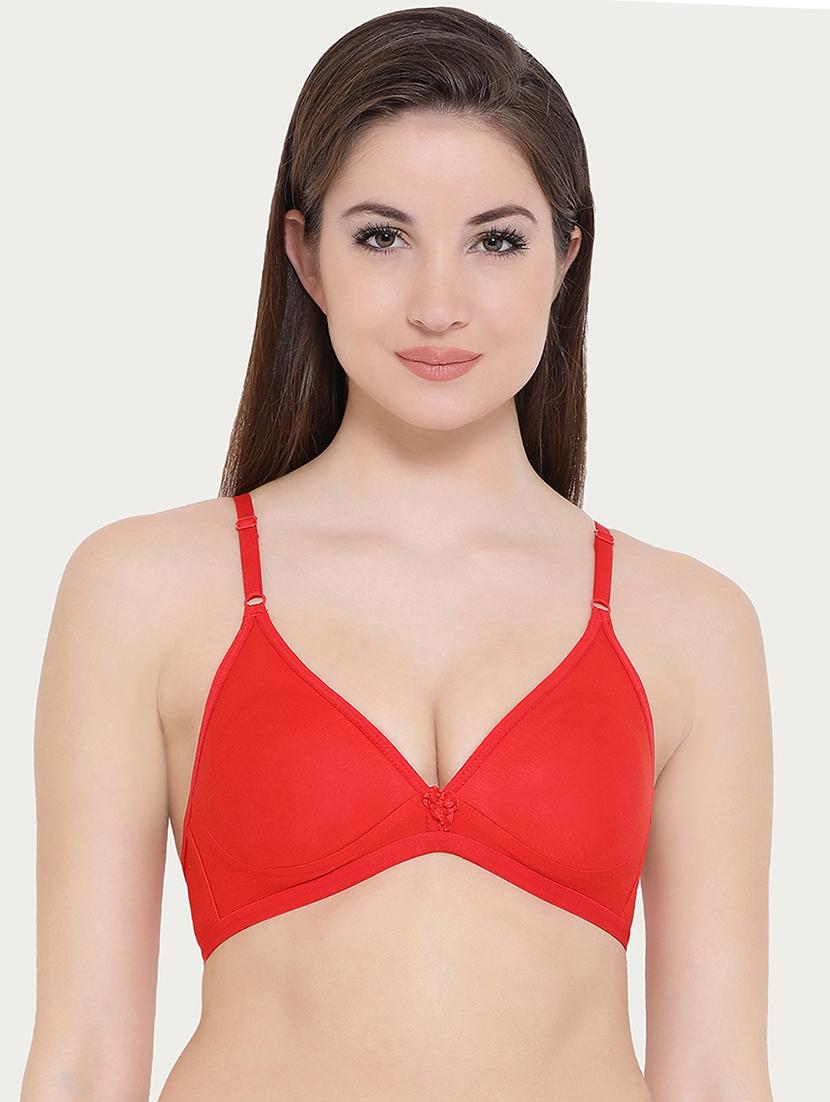 set of 2 bow patch bra - 16221895 - Zoom Image - 2