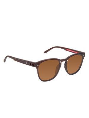 david blake brown wayfarer polarised uv protected sunglasses - 16250254 - Standard Image - 2