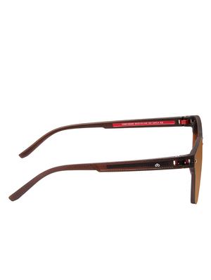 david blake brown wayfarer polarised uv protected sunglasses - 16250254 - Standard Image - 3