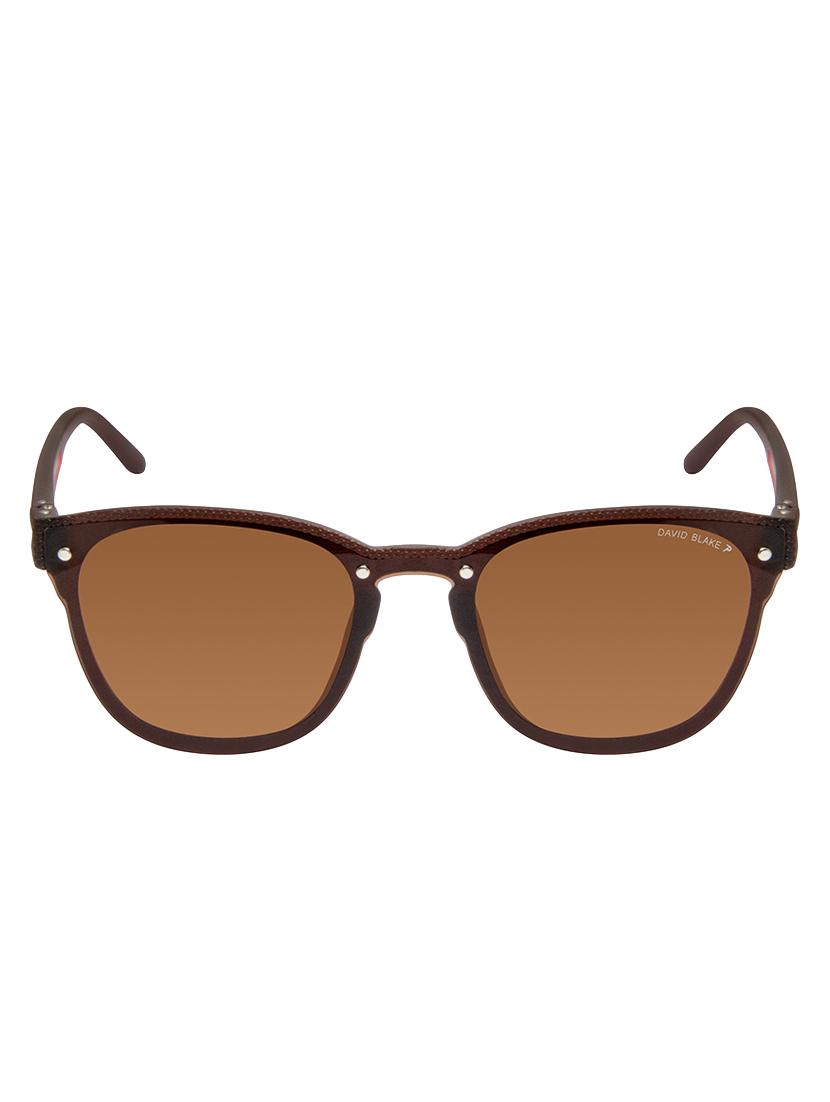 david blake brown wayfarer polarised uv protected sunglasses - 16250254 - Zoom Image - 1