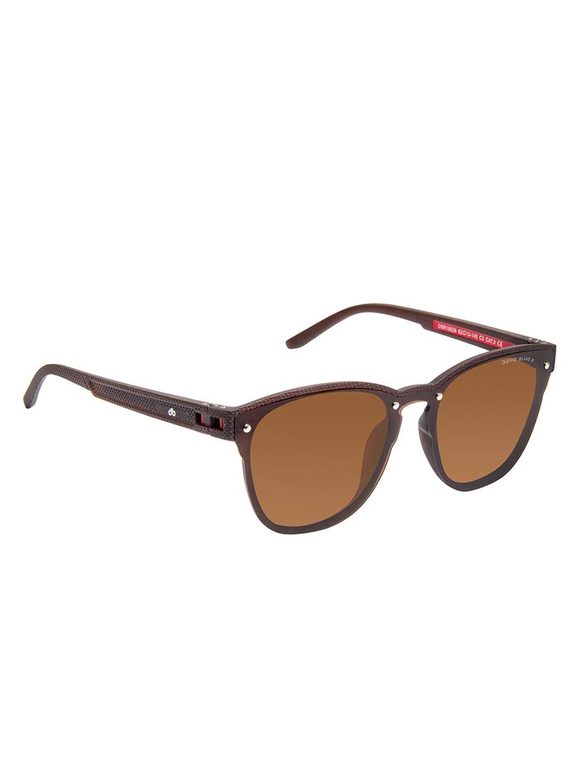 david blake brown wayfarer polarised uv protected sunglasses - 16250254 - Zoom Image - 2