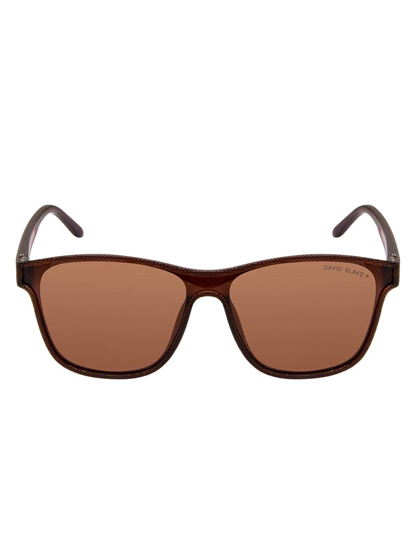 david blake brown wayfarer polarised uv protected sunglasses - 16250256 - Zoom Image - 1