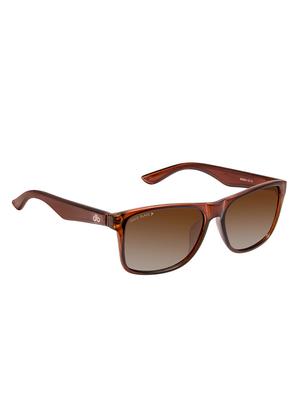david blake brown wayfarer gradient polarised uv protected sunglasses - 16250263 - Standard Image - 2