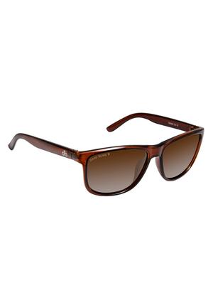 david blake brown wayfarer gradient polarised uv protected sunglass - 16250296 - Standard Image - 2